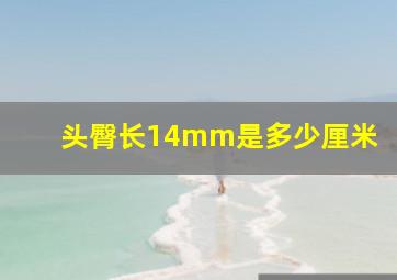 头臀长14mm是多少厘米