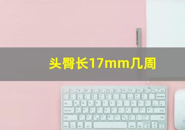 头臀长17mm几周