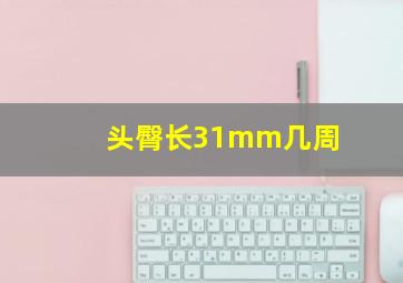 头臀长31mm几周