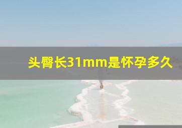 头臀长31mm是怀孕多久