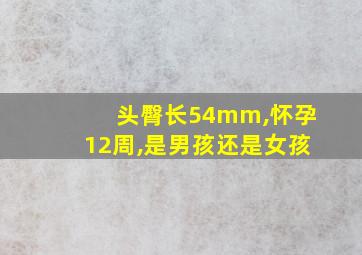 头臀长54mm,怀孕12周,是男孩还是女孩