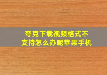 夸克下载视频格式不支持怎么办呢苹果手机