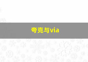 夸克与via