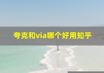 夸克和via哪个好用知乎