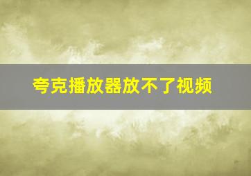 夸克播放器放不了视频