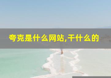 夸克是什么网站,干什么的