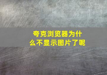 夸克浏览器为什么不显示图片了呢