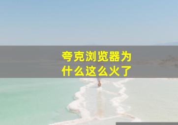 夸克浏览器为什么这么火了