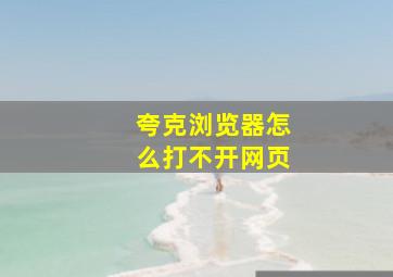 夸克浏览器怎么打不开网页