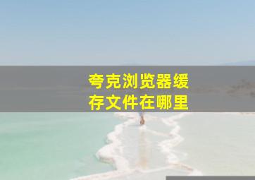 夸克浏览器缓存文件在哪里