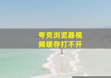 夸克浏览器视频缓存打不开