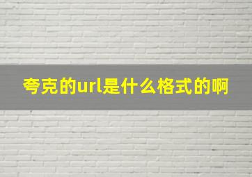 夸克的url是什么格式的啊