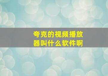 夸克的视频播放器叫什么软件啊