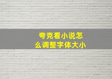 夸克看小说怎么调整字体大小