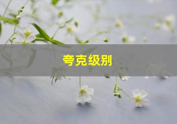 夸克级别