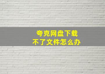 夸克网盘下载不了文件怎么办