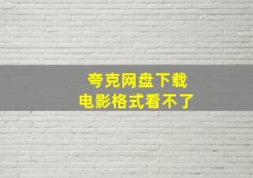 夸克网盘下载电影格式看不了