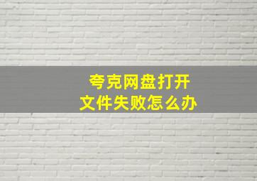 夸克网盘打开文件失败怎么办