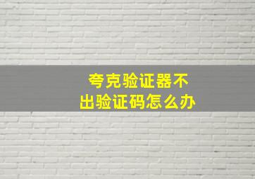 夸克验证器不出验证码怎么办