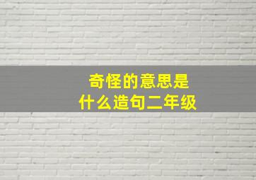 奇怪的意思是什么造句二年级