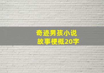 奇迹男孩小说故事梗概20字