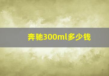 奔驰300ml多少钱