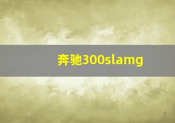 奔驰300slamg