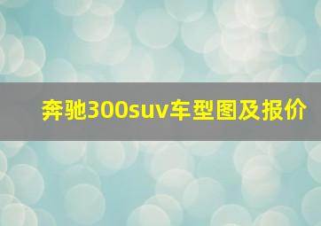 奔驰300suv车型图及报价