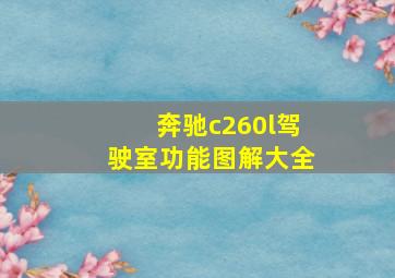 奔驰c260l驾驶室功能图解大全