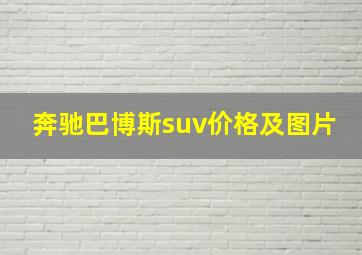 奔驰巴博斯suv价格及图片