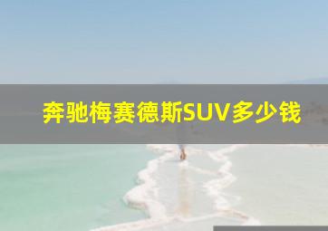 奔驰梅赛德斯SUV多少钱