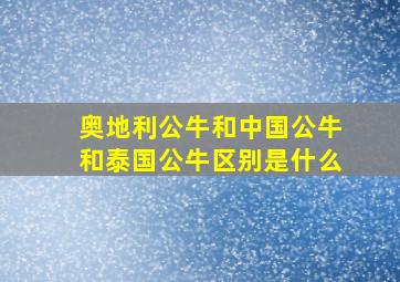 奥地利公牛和中国公牛和泰国公牛区别是什么