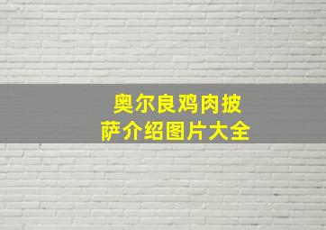 奥尔良鸡肉披萨介绍图片大全