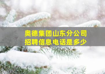 奥德集团山东分公司招聘信息电话是多少