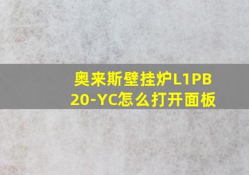 奥来斯壁挂炉L1PB20-YC怎么打开面板