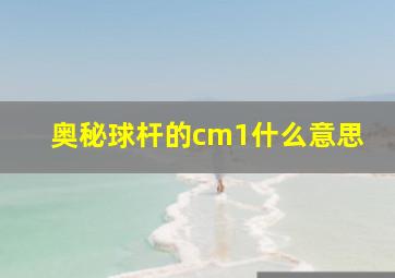 奥秘球杆的cm1什么意思