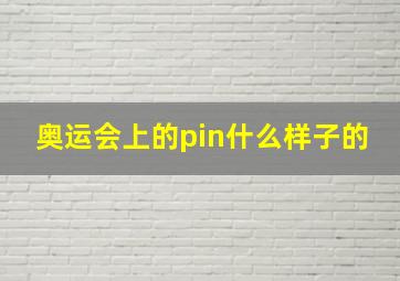 奥运会上的pin什么样子的