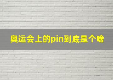 奥运会上的pin到底是个啥