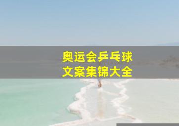 奥运会乒乓球文案集锦大全