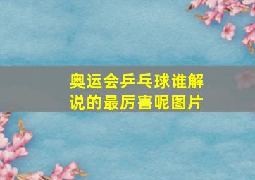 奥运会乒乓球谁解说的最厉害呢图片