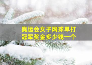 奥运会女子网球单打冠军奖金多少钱一个