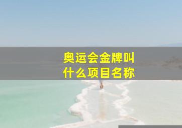 奥运会金牌叫什么项目名称