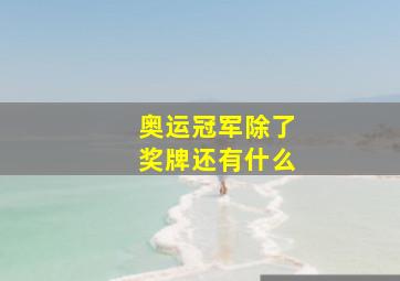 奥运冠军除了奖牌还有什么