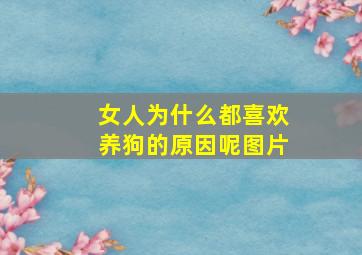 女人为什么都喜欢养狗的原因呢图片