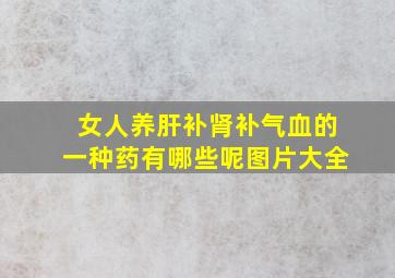 女人养肝补肾补气血的一种药有哪些呢图片大全