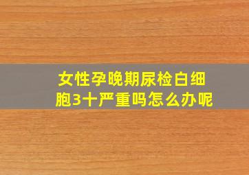 女性孕晚期尿检白细胞3十严重吗怎么办呢