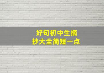 好句初中生摘抄大全简短一点