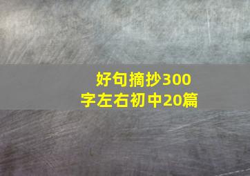 好句摘抄300字左右初中20篇