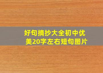 好句摘抄大全初中优美20字左右短句图片