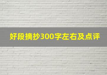 好段摘抄300字左右及点评